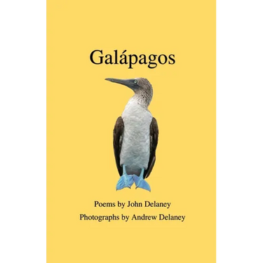 Gal疳agos: Poems by John Delaney, Photographs by Andrew Delaney