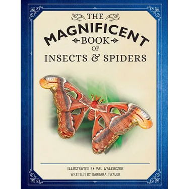 The Magnificent Book of Insects and Spiders