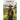 Cowboy in Search of Grace: And The Little White Lies