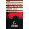 The First Birmingham Battalion in the Great War 1914-1919: Being a History of the 14th (Service) Battalion of the Royal Warwickshire Regiment