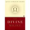 The Divine Milieu