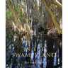 In the Swampyland