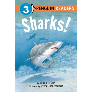 Sharks!