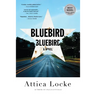 Bluebird, Bluebird