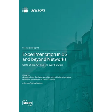 Experimentation in 5G and beyond Networks: State of the Art and the Way Forward