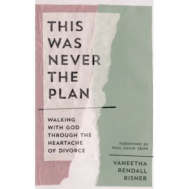 This Was Never the Plan: Walking with God Through the Heartache of Divorce