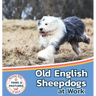 Old English Sheepdogs at Work