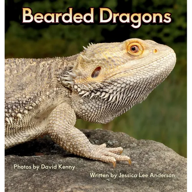 Bearded Dragons