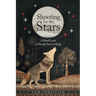 Shooting for the Stars: A Brief Look at Navajo Star Ceilings