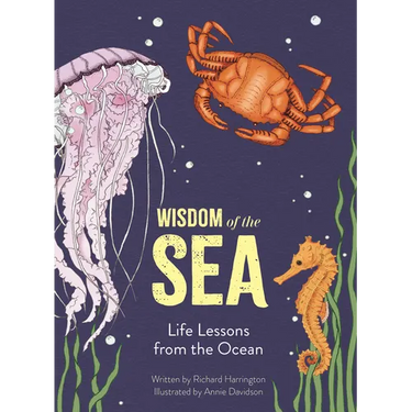 Wisdom of the Sea: Life Lessons from the Ocean