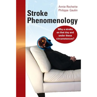 Stroke Phenomenology: Why a stroke on that day and under these circumstances?