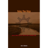 Ruling Pine Ridge: Oglala Lakota Politics from the IRA to Wounded Knee
