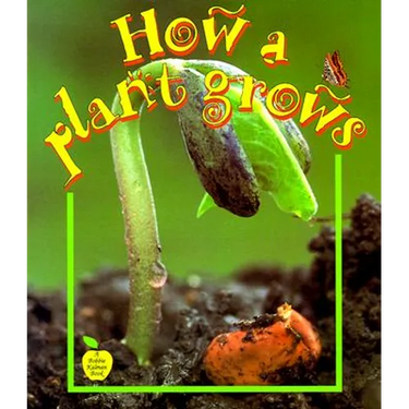 How a Plant Grows