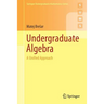 Undergraduate Algebra: A Unified Approach
