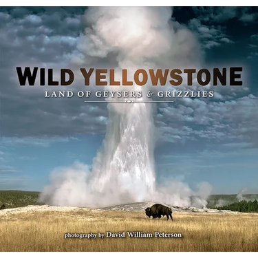 Wild Yellowstone: Land of Geysers and Grizzlies