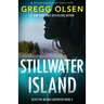 Stillwater Island: An absolutely gripping mystery suspense thriller