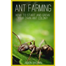 Ant Farming: How to Start and Grow Your Own Ant Colony
