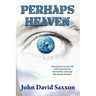 Perhaps Heaven: The Story of a Warrior's Life and His Journey to Immortality, Book I