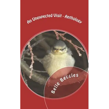 An Unexpected Visit - Anthology