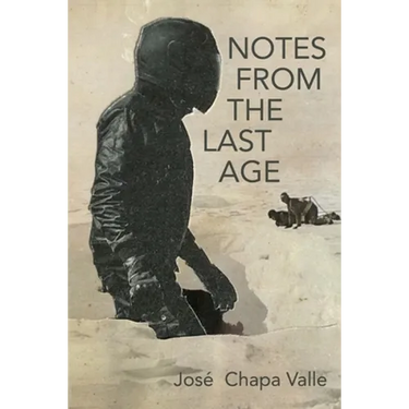 Notes from the Last Age