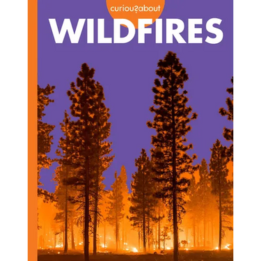 Curious about Wildfires
