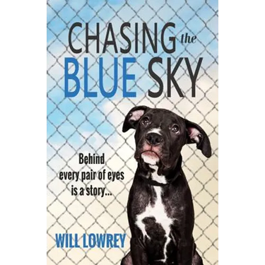 Chasing the Blue Sky