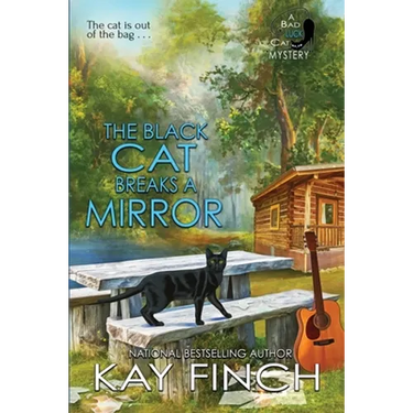 The Black Cat Breaks a Mirror