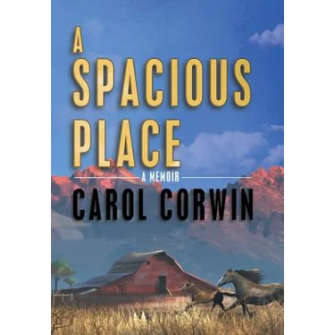 A Spacious Place