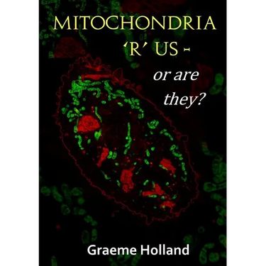 Mitochondria 'R' us - or are they?
