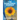 The Sunflower Widows