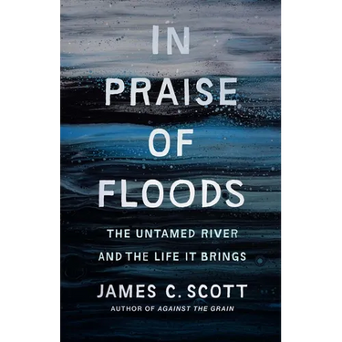 In Praise of Floods: The Untamed River and the Life It Brings