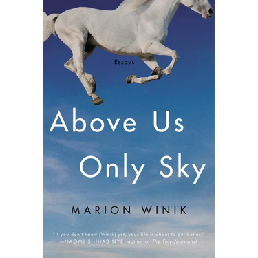 Above Us Only Sky: Essays