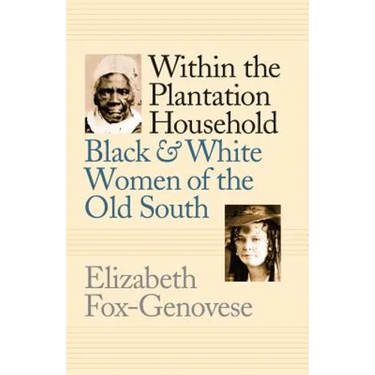 Within the Plantation Household: Black and White Women of the Old South