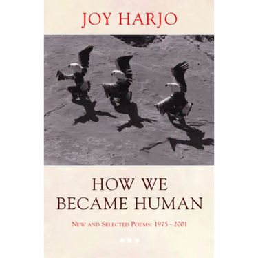 How We Became Human: New and Selected Poems 1975-2002