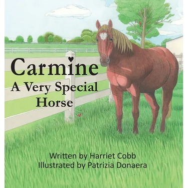 Carmine: A Very Special Horse