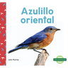 Azulillo Oriental (Eastern Bluebirds)