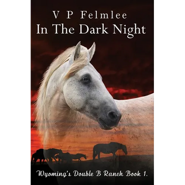 In The Dark Night