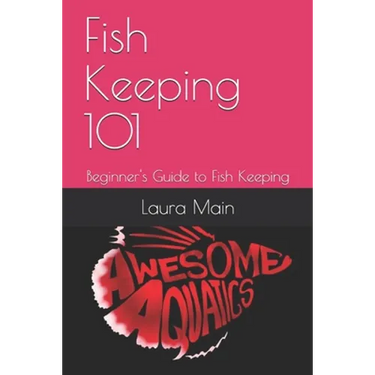Fish Keeping 101: Beginner's Guide to Fish Keeping