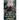 The Roots In Your Bones