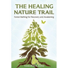 The Healing Nature Trail: Forest Bathing for Recovery and Awakening