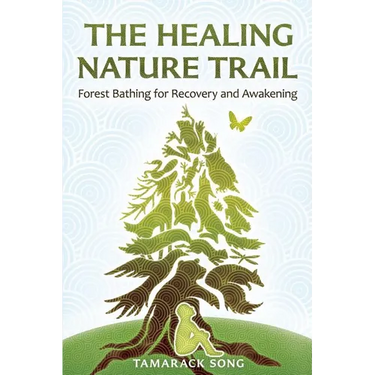 The Healing Nature Trail: Forest Bathing for Recovery and Awakening