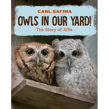 Owls in Our Yard!: The Story of Alfie