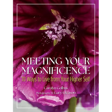 Meeting Your Magnificence: 111 Ways to Live from Your Higher Self