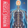 The Nervous System Is the Body's Central Control Unit Body Organs Book Grade 4 Children's Anatomy Books
