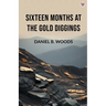 Sixteen Months At The Gold Diggings