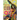 Cion