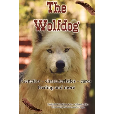 The Wolfdog: Genetics - characteristics - cares - feeding and more