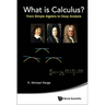 What Is Calculus?: From Simple Algebra to Deep Analysis