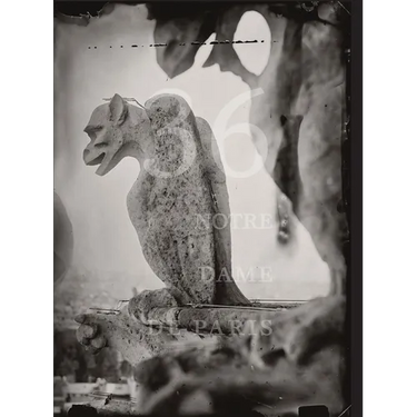 Tomas Van Houtryve: 36 Views of Notre Dame