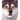 The Eyes of Gray Wolf